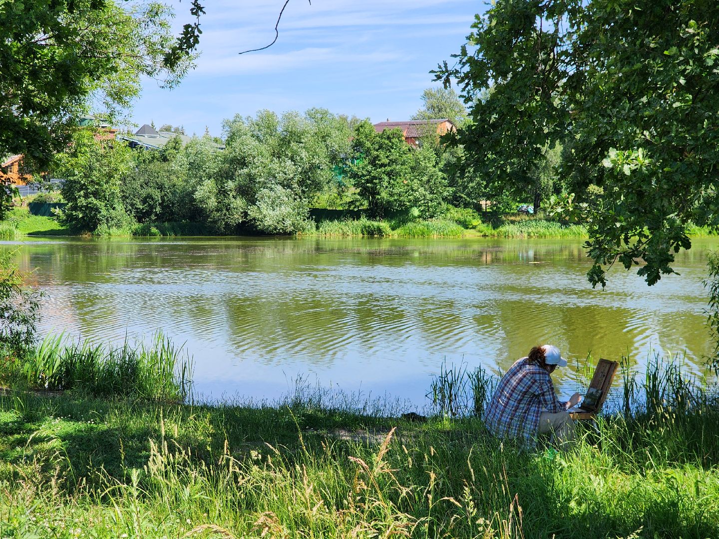 фрязино, жара, погодная аномалия, лесопарк,