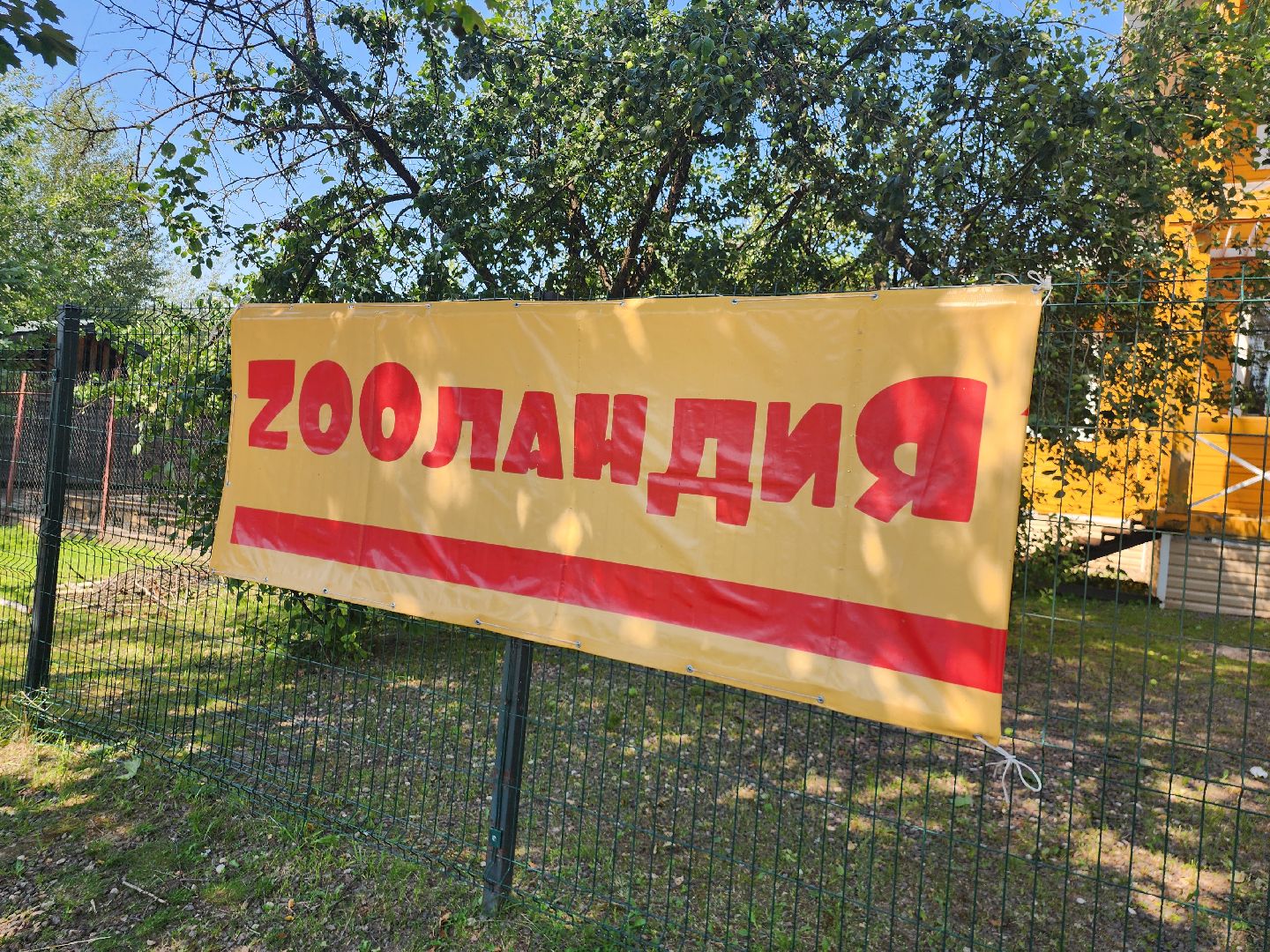 Истра, Кенгуру, Зоопарк,