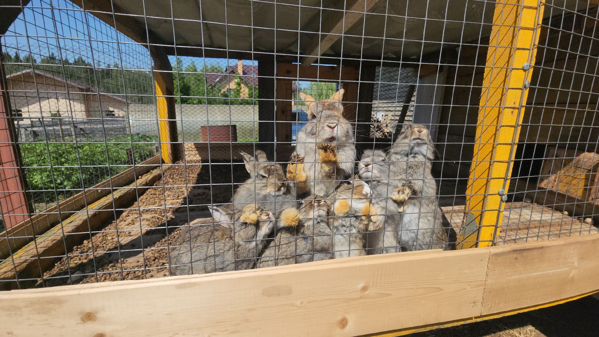 Истра, Кенгуру, Зоопарк,