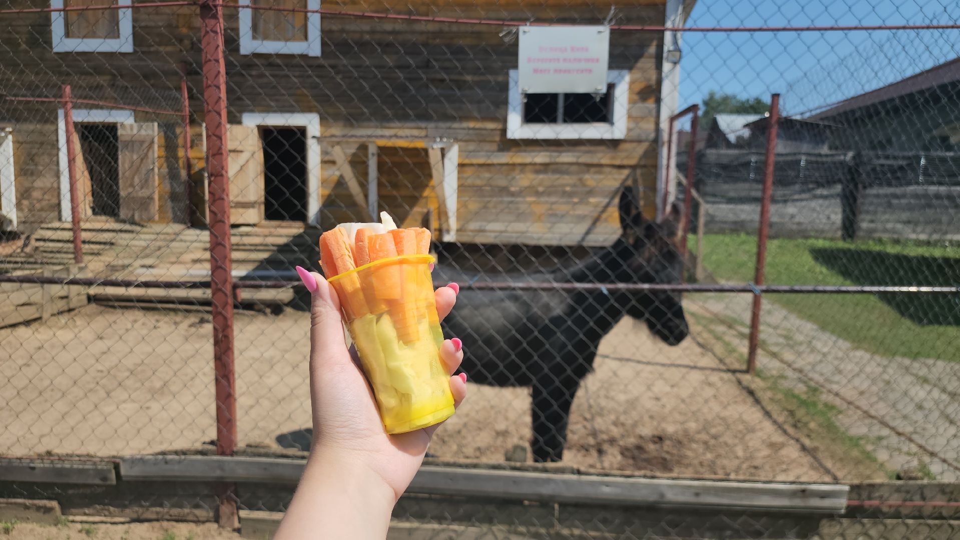 Истра, Кенгуру, Зоопарк,