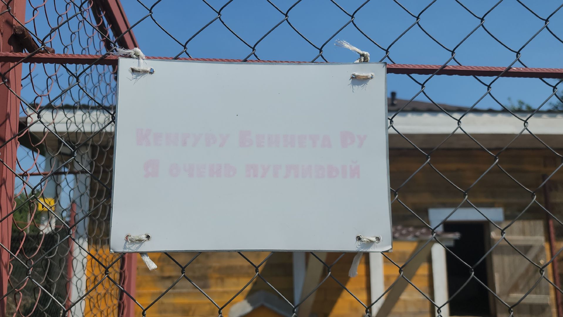 Истра, Кенгуру, Зоопарк,