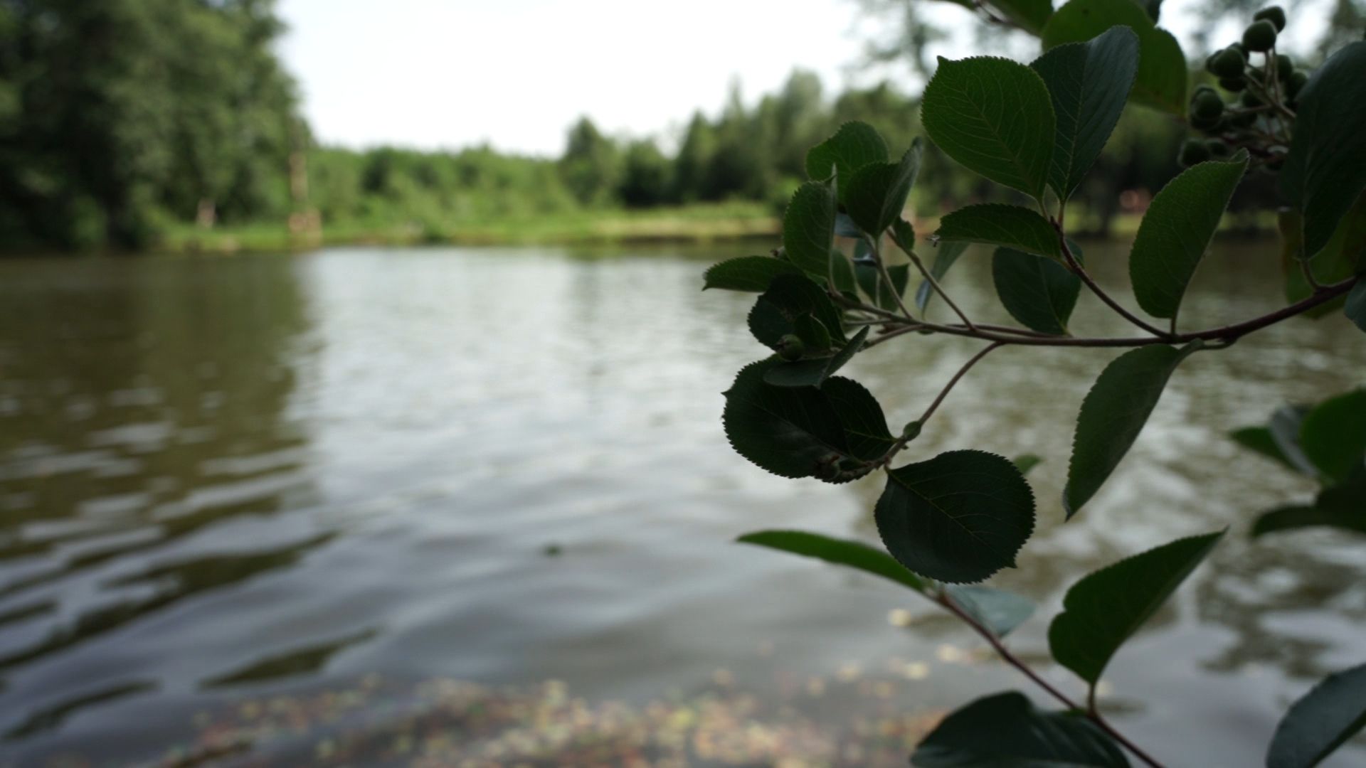 Егорьевск , Подмосковье , Московская область ,