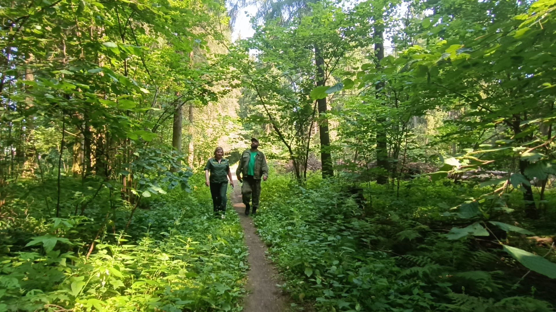 лес, экология, лобня,