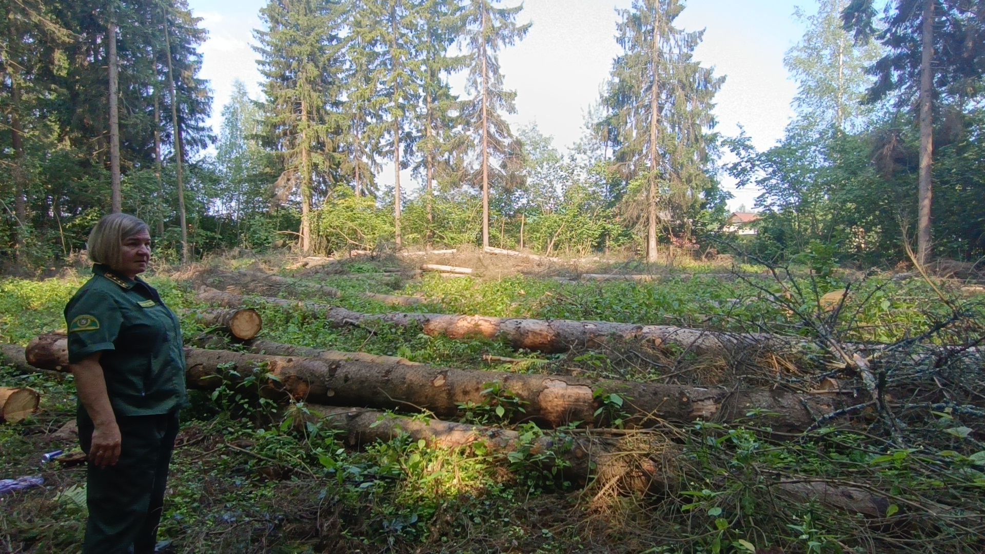 лес, экология, лобня,