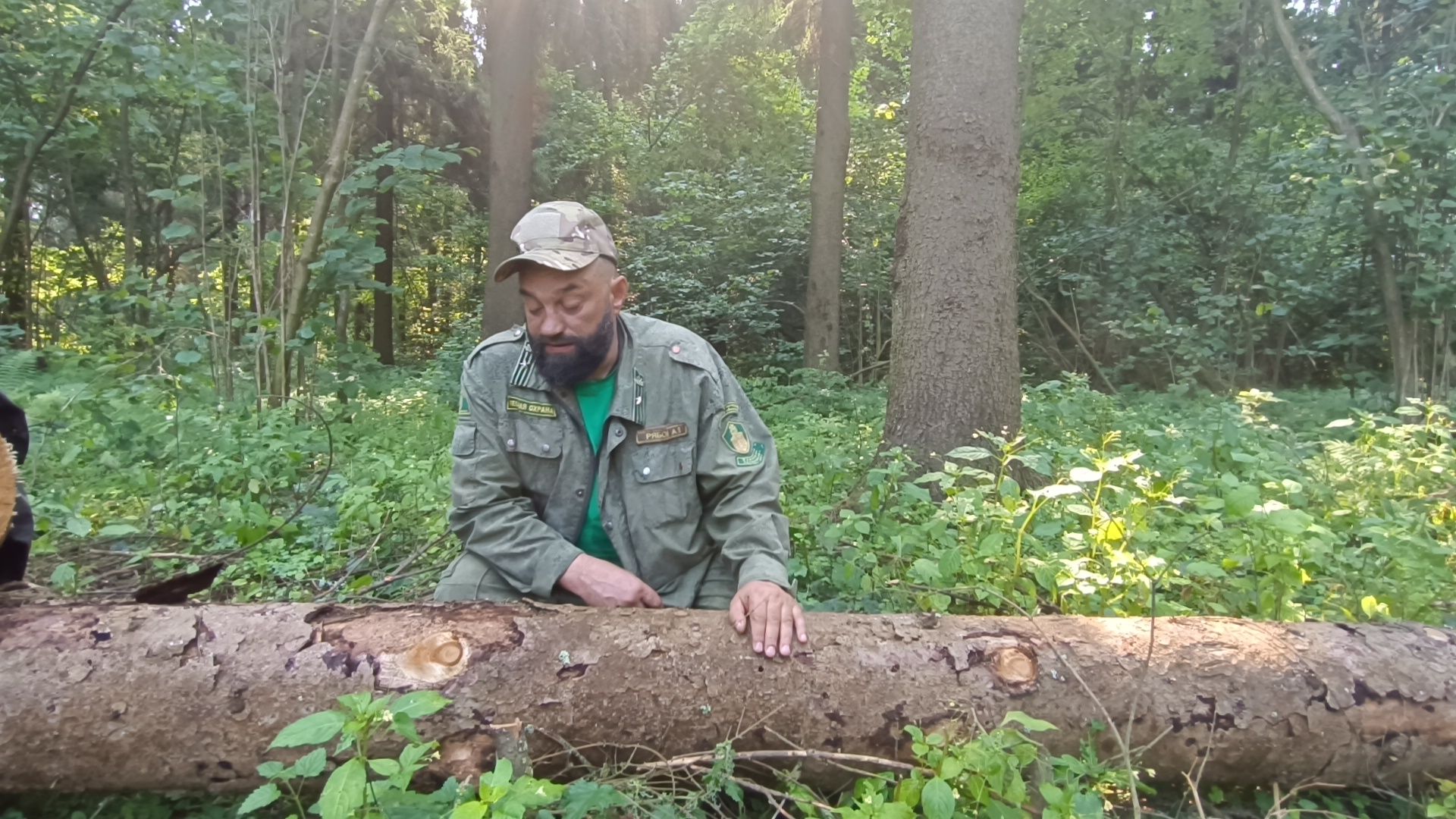 лес, экология, лобня,