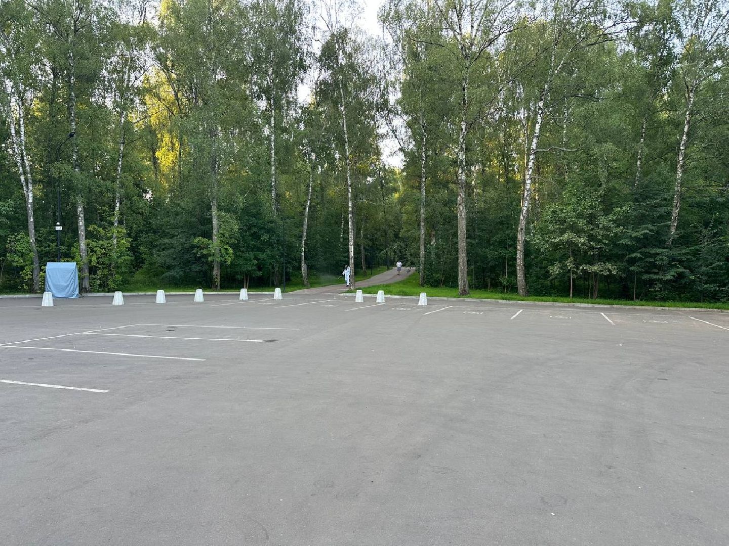 обработка от клещей, парки, домодедово,