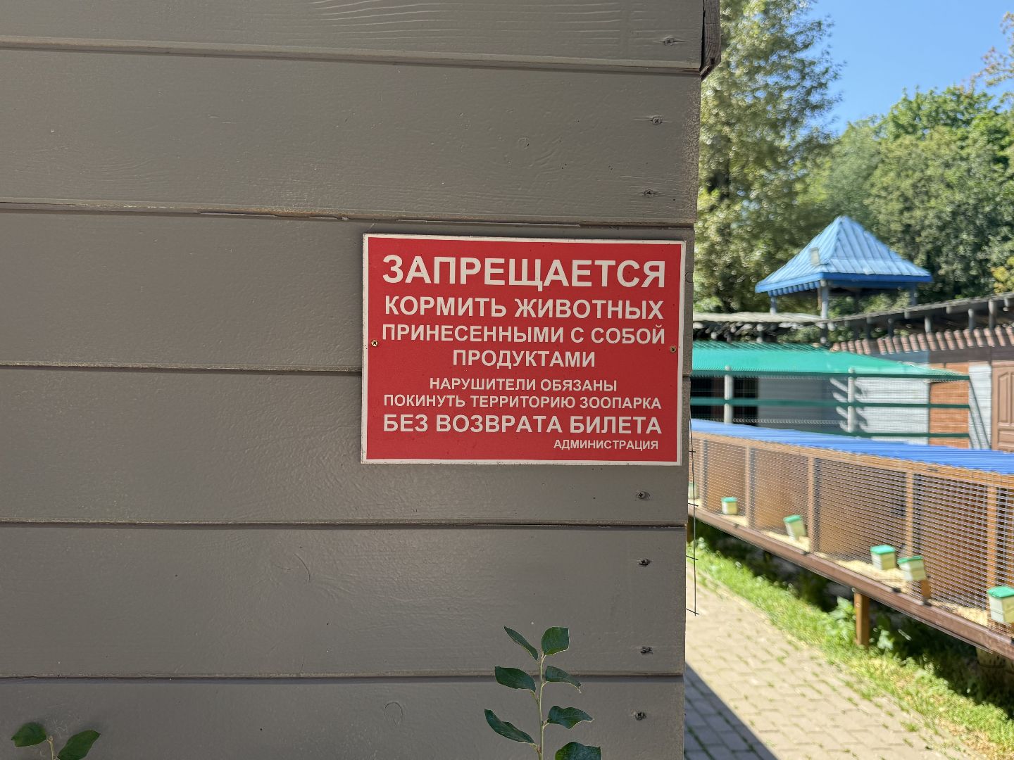 люберцы, Парк, досуг для детей, животные, Зоопарк,