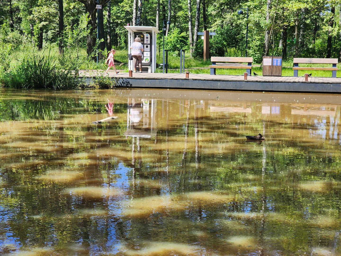 фрязино, лесопарк, благоустройство, очистка пруда,