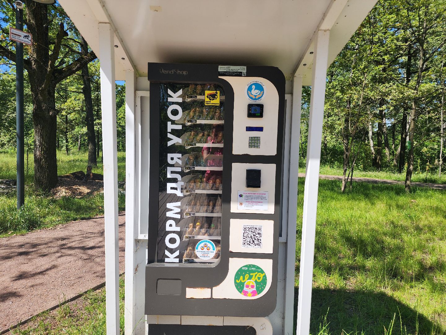 фрязино, лесопарк, благоустройство, очистка пруда,