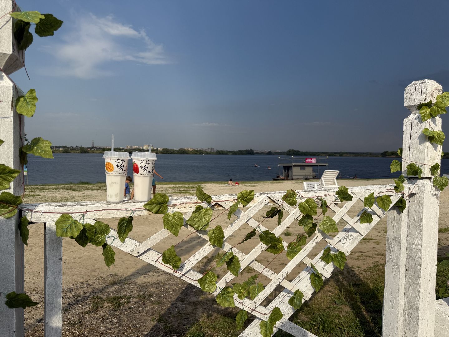 люберцы, Островцы, отдых, досуг, лето 2025, водоемы,