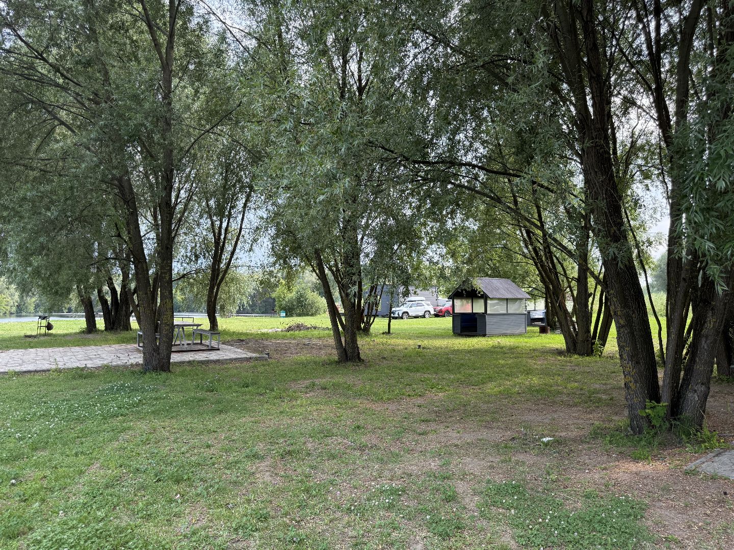 люберцы, Островцы, отдых, досуг, лето 2025, водоемы,