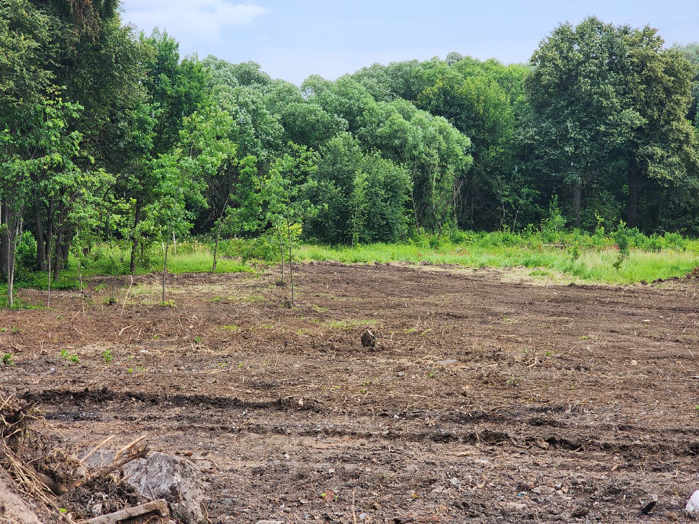 Подольск , усадьба плещеево, Благоустройство,