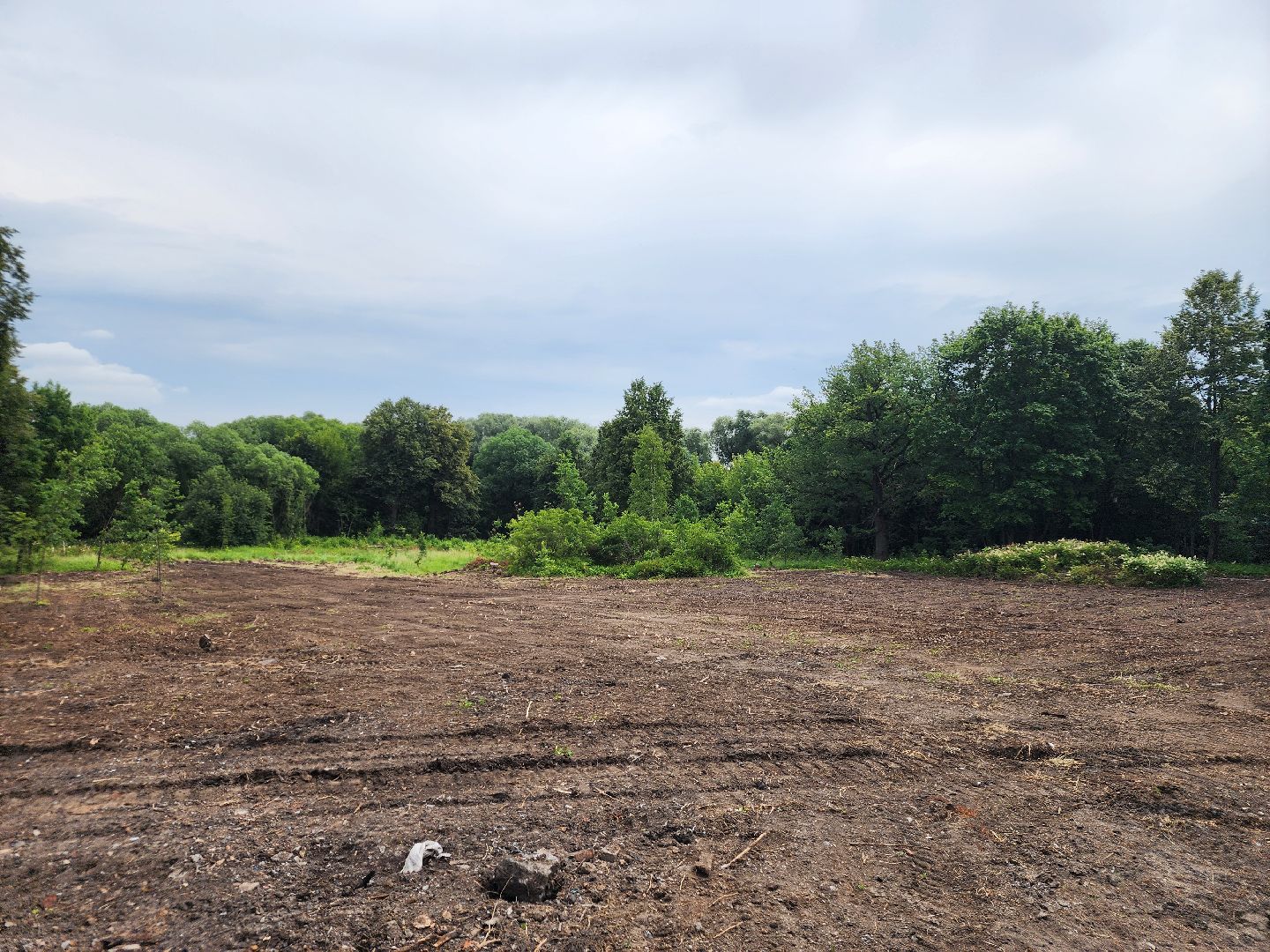 Подольск , усадьба плещеево, Благоустройство,