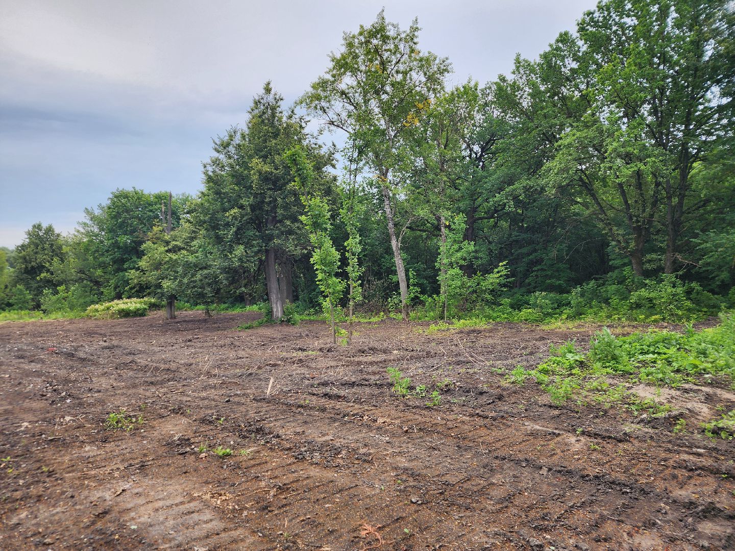 Подольск , усадьба плещеево, Благоустройство,