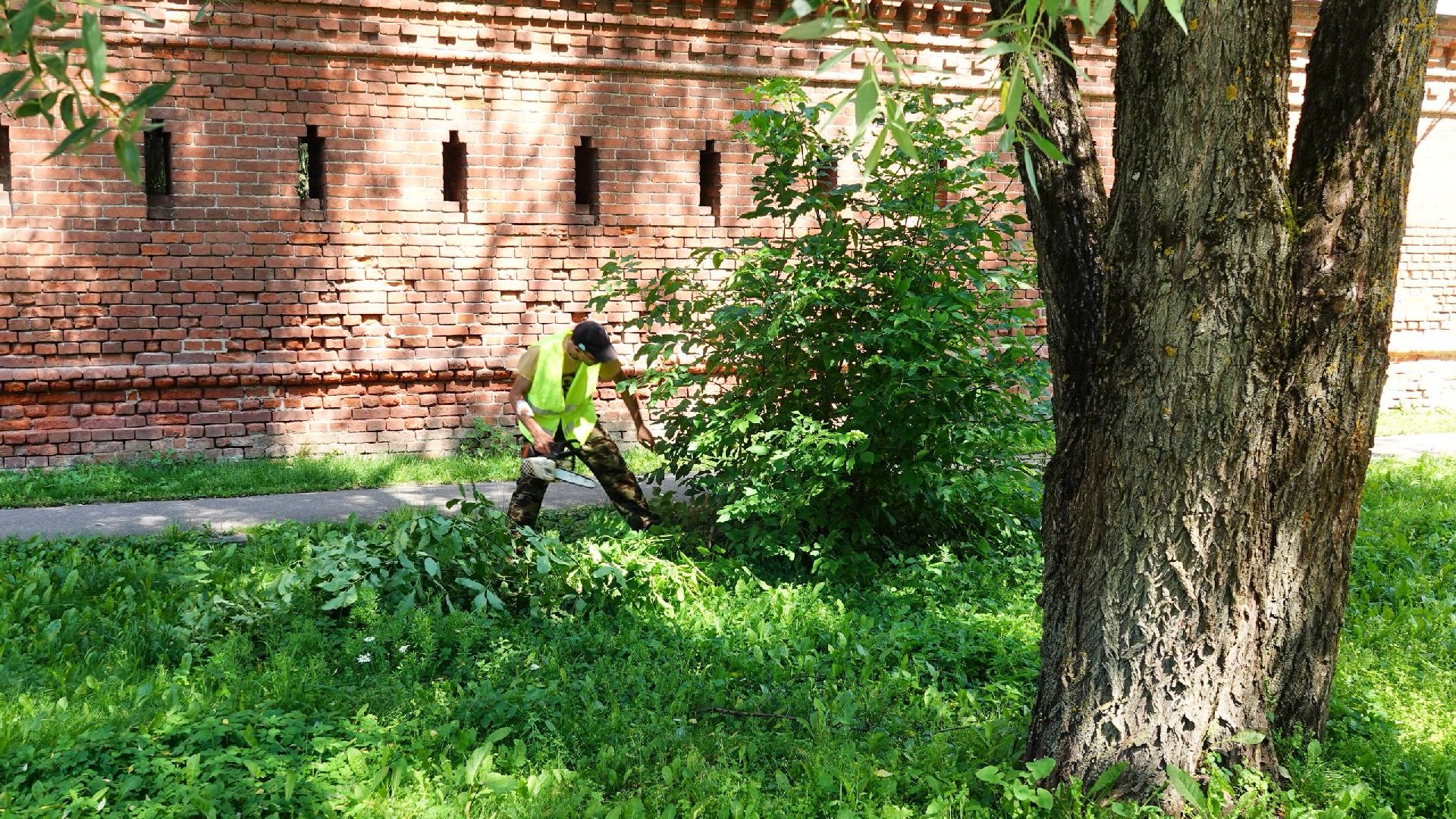 благоустройство, сергиев посад, сергиево-посадский городской округ, природа,