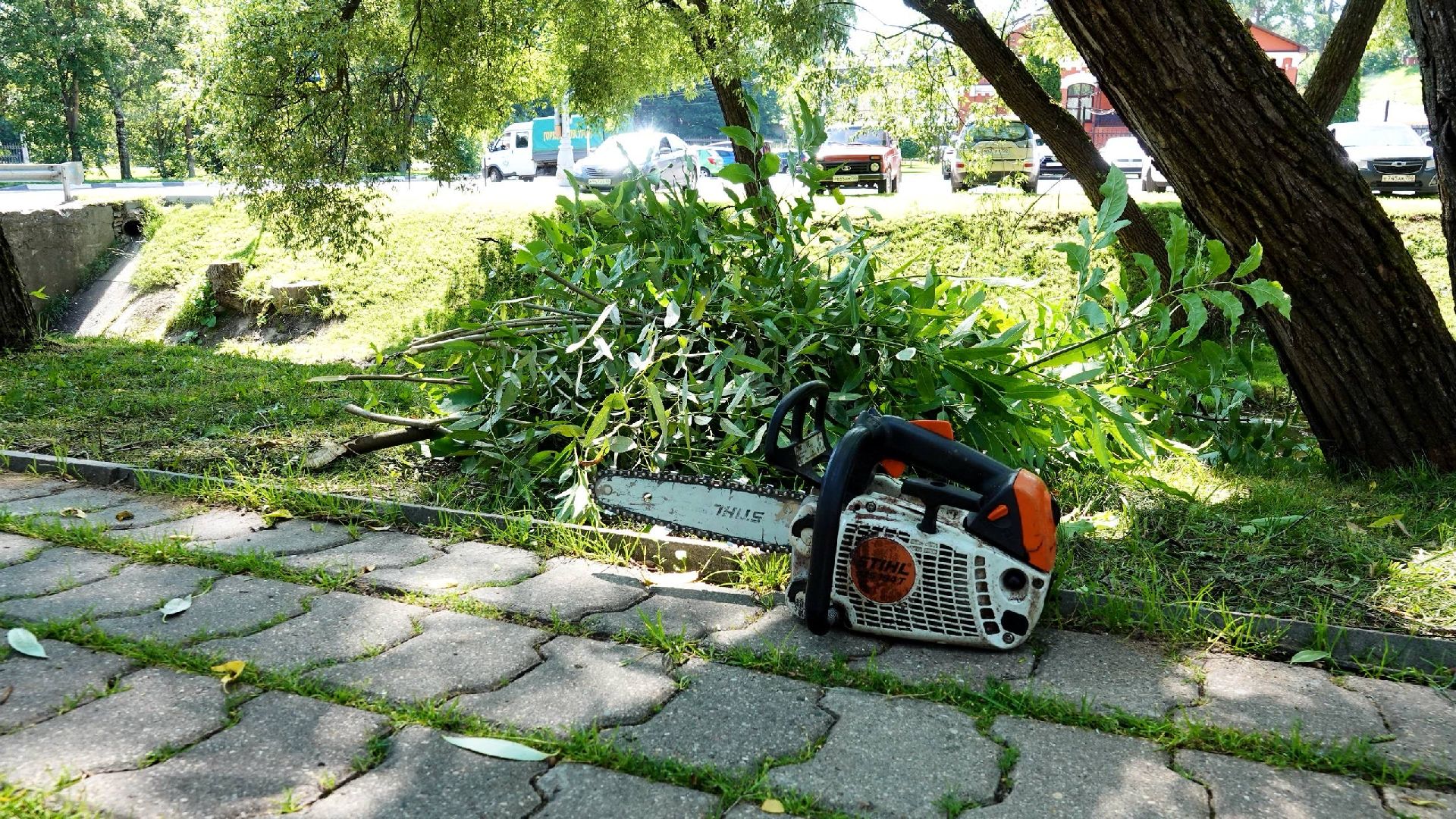 благоустройство, сергиев посад, сергиево-посадский городской округ, природа,