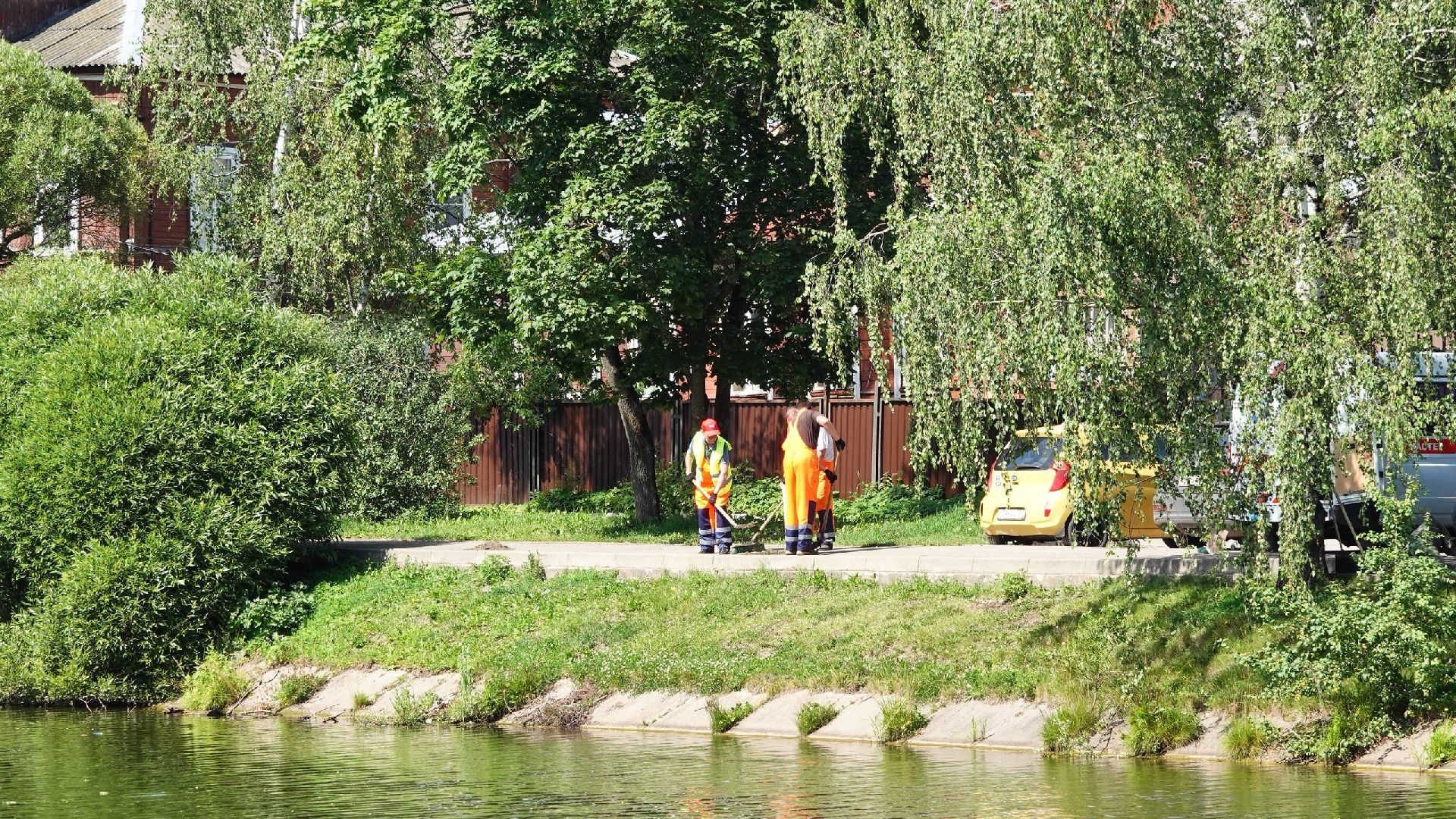 благоустройство, сергиев посад, сергиево-посадский городской округ, природа,