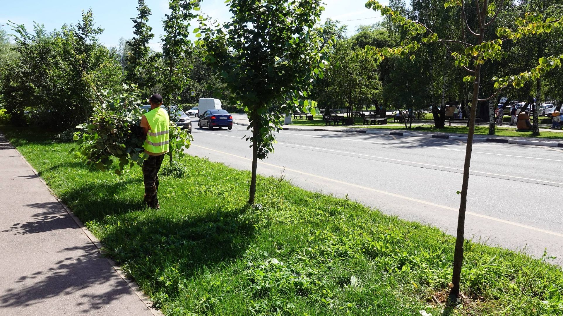 благоустройство, сергиев посад, сергиево-посадский городской округ, природа,