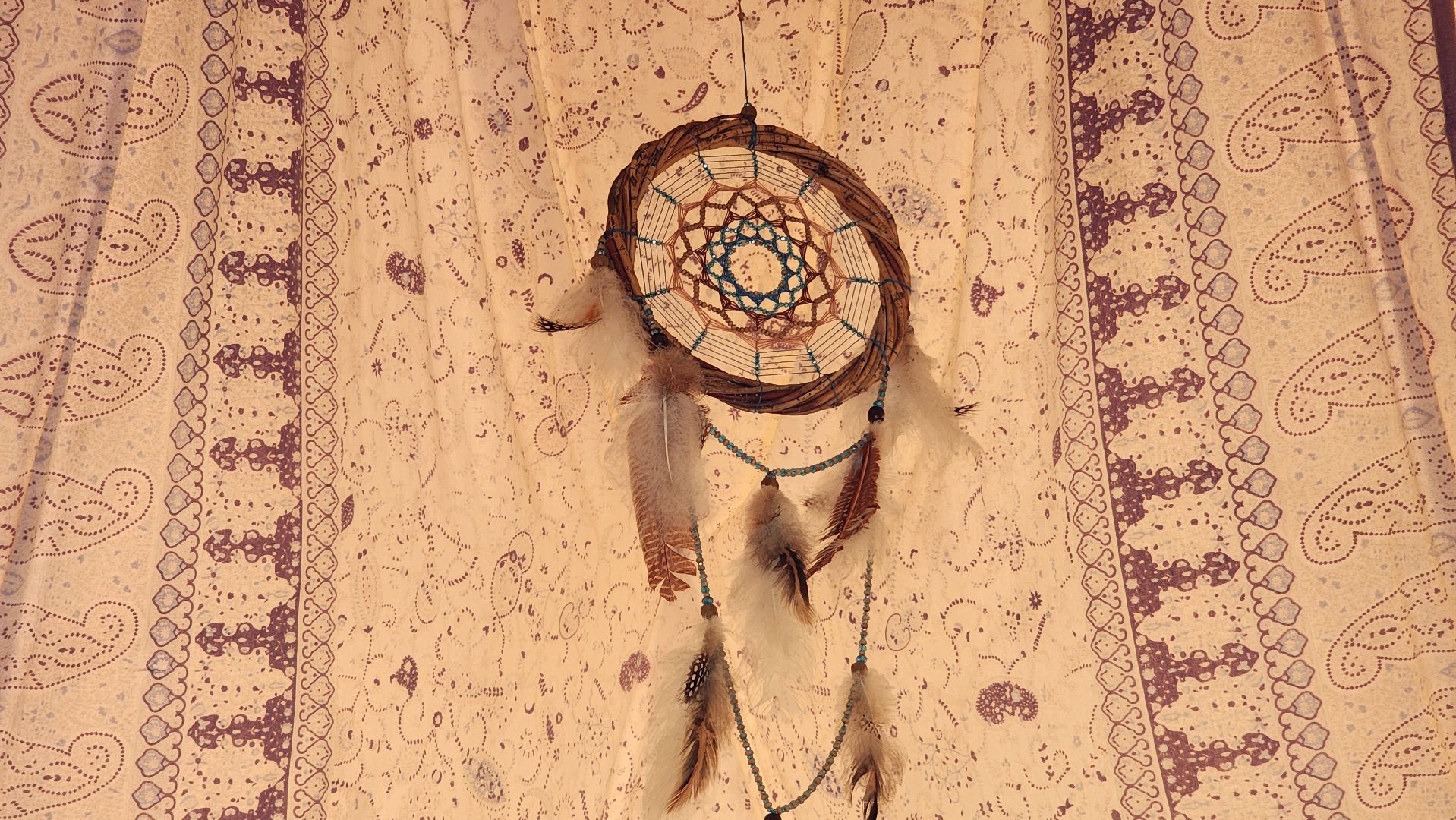 руза, хаски-деревня, рузская аляска, глэмпинг, туризм,