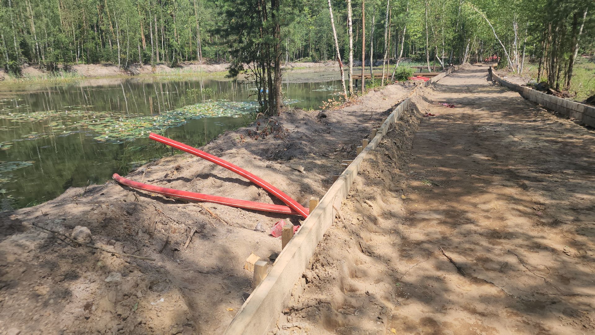 благоустройство 2025, парковский лес, орехово-зуево,