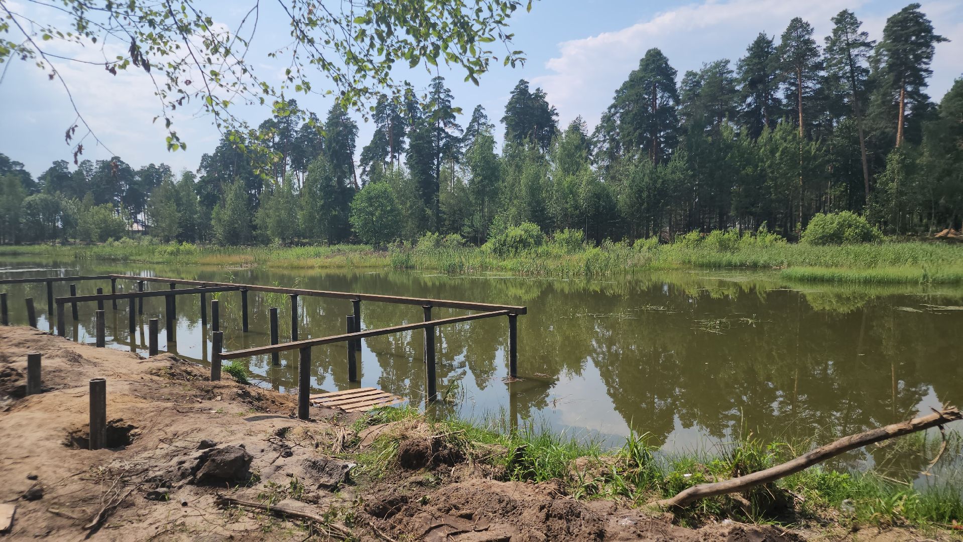 благоустройство 2025, парковский лес, орехово-зуево,