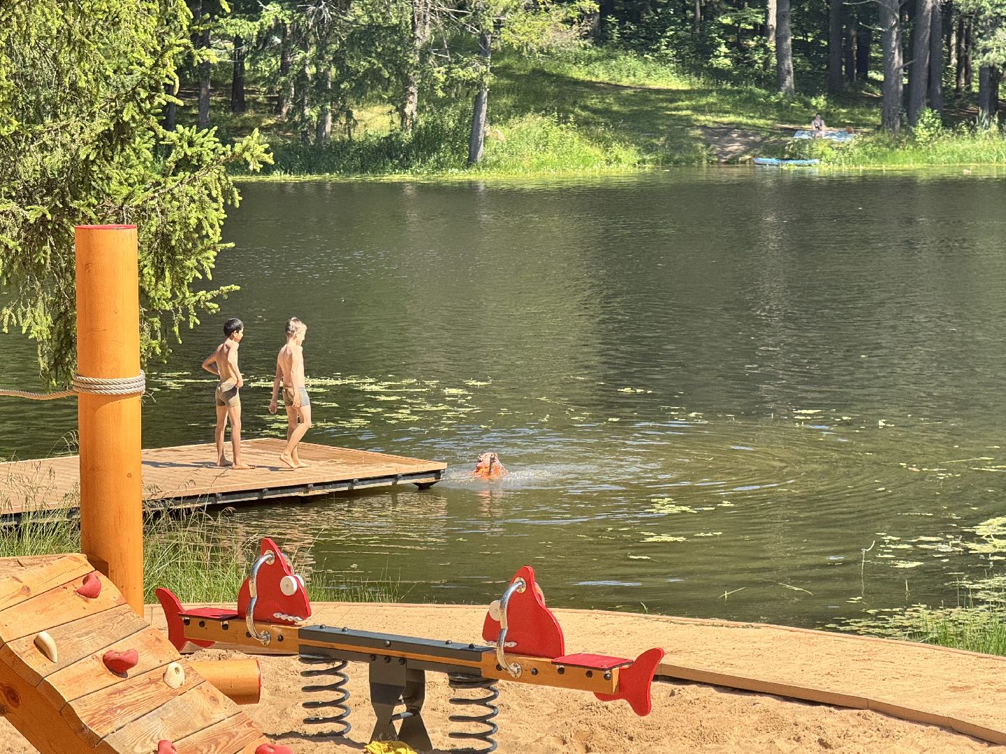 шаховская, плотина, пляж,