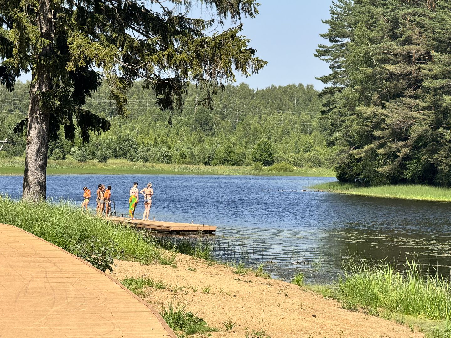 шаховская, плотина, пляж,