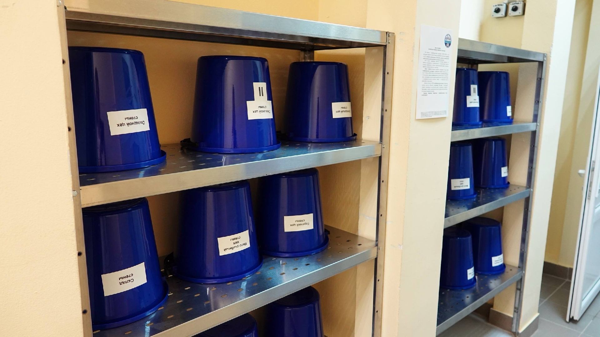 медицина, здравоохранение,  сергиево-посадский городской округ, сергиево-посадская больница , сергиев посад, пищеблок ,