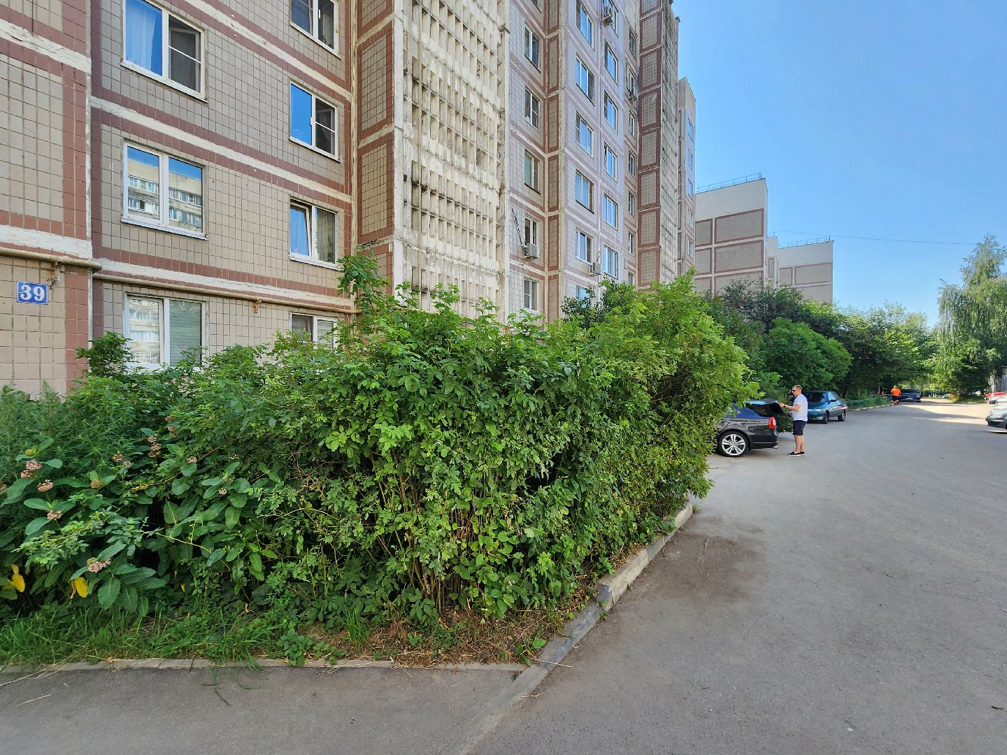 чехов,  улица береговая 39, детская площадка, опора освещения, наклонившийся столб, провода над детской площадкой, устранить проблему, мбу чеховское благоустройство, нависающие провода, обращения жителей,