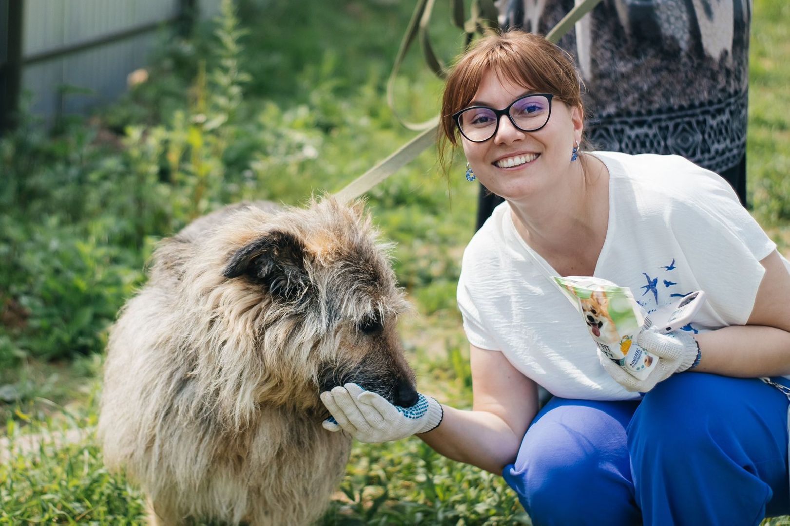 рахманово, пушкинский округ, приют для бездомных животных, активное долголетие, волонтеры, приют для собак,помощь жителям,вертикалки,