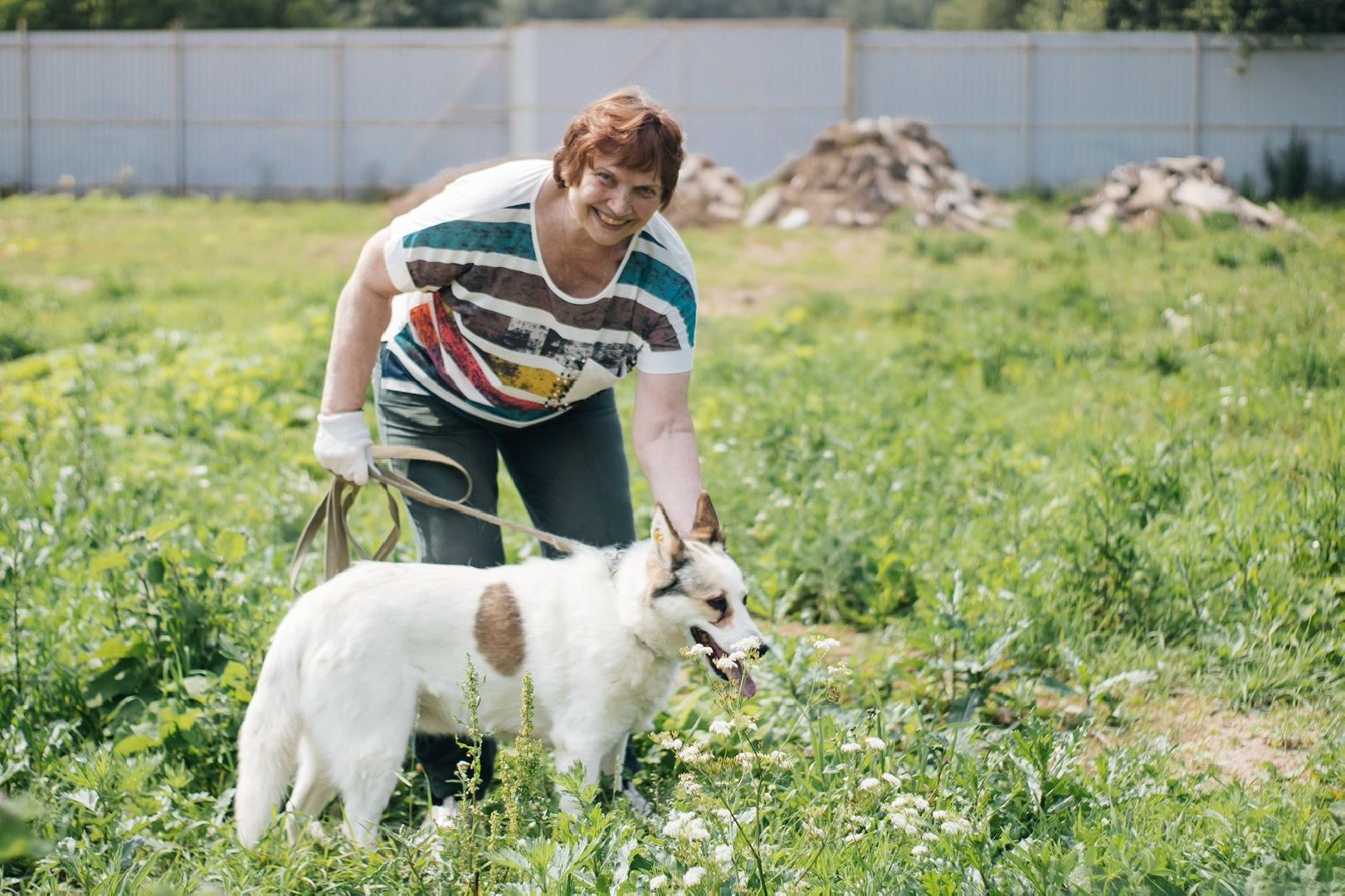 рахманово, пушкинский округ, приют для бездомных животных, активное долголетие, волонтеры, приют для собак,помощь жителям,вертикалки,