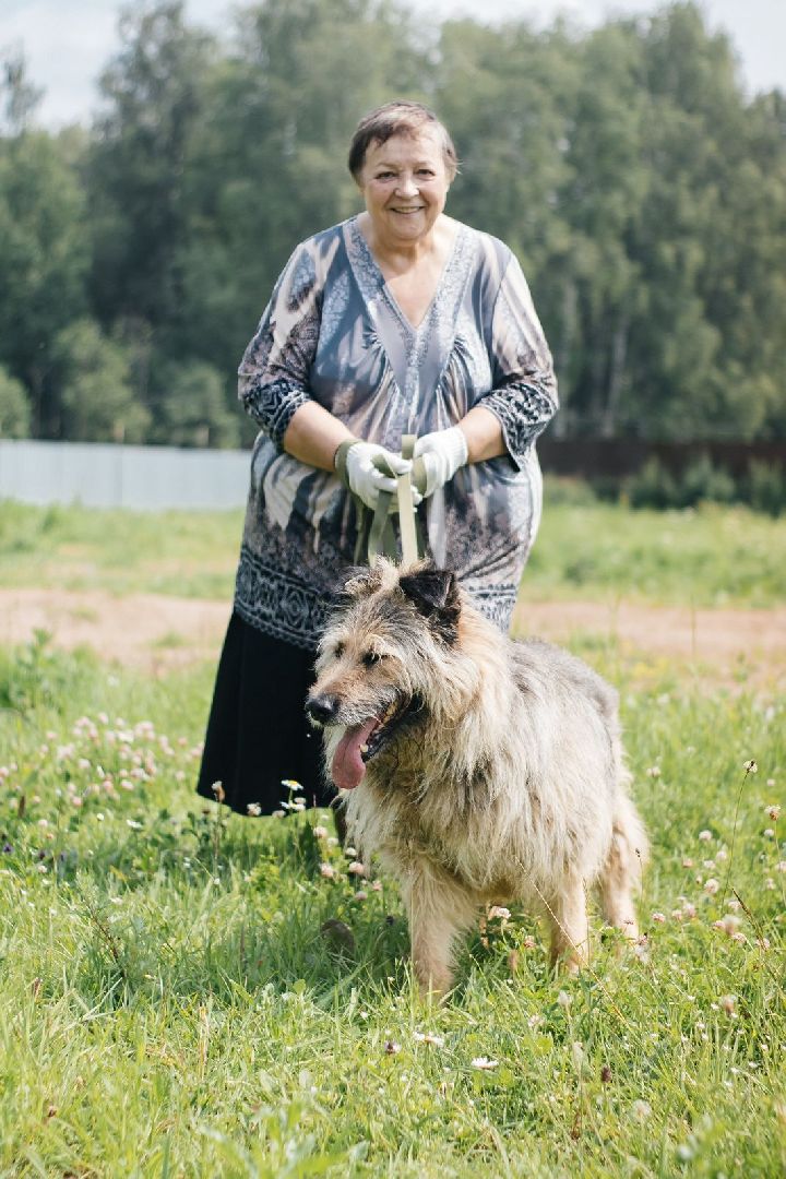 рахманово, пушкинский округ, приют для бездомных животных, активное долголетие, волонтеры, приют для собак,помощь жителям,вертикалки,