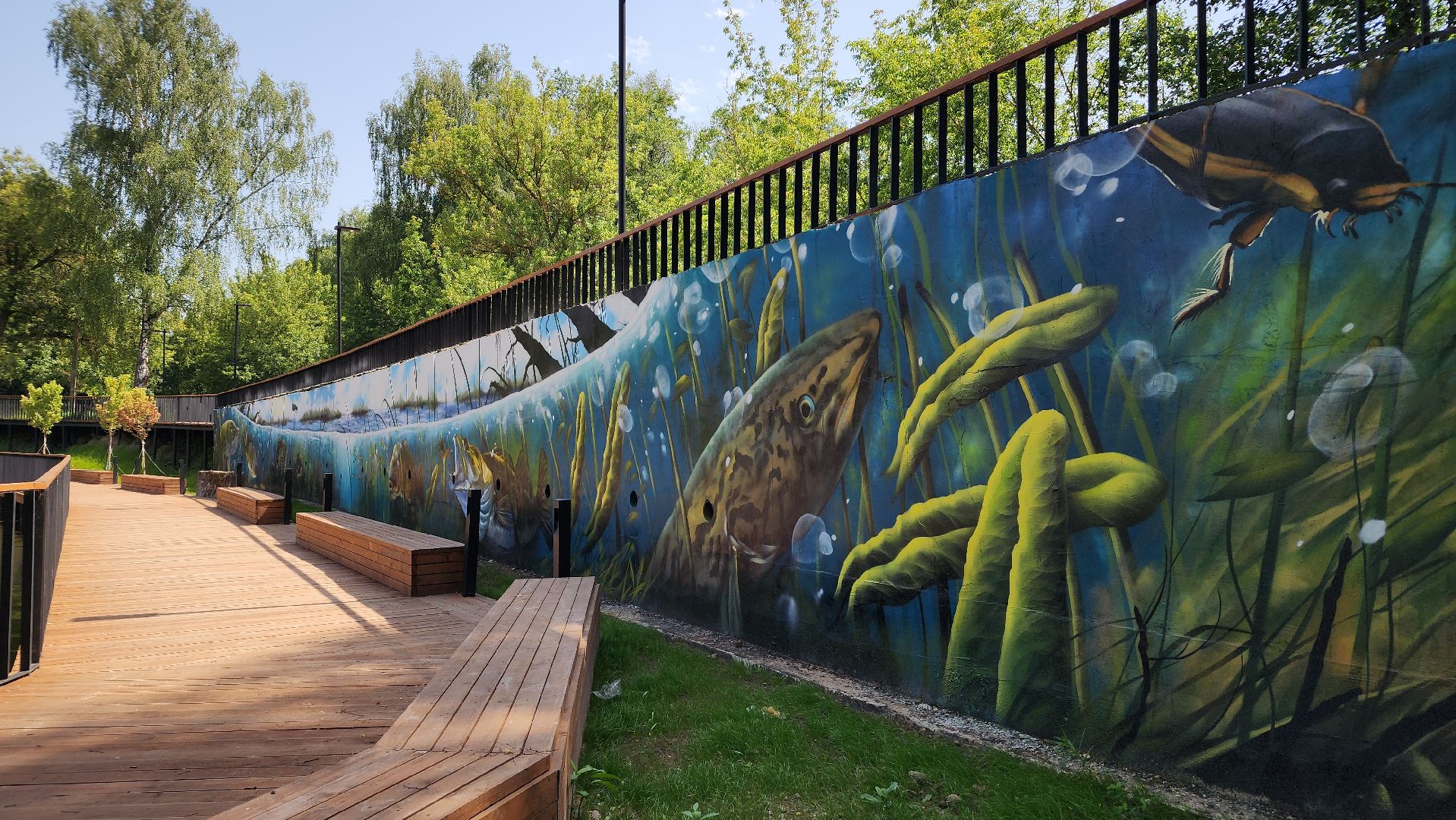 рыбаки, рыбалка, лосино-петровский, водоём,