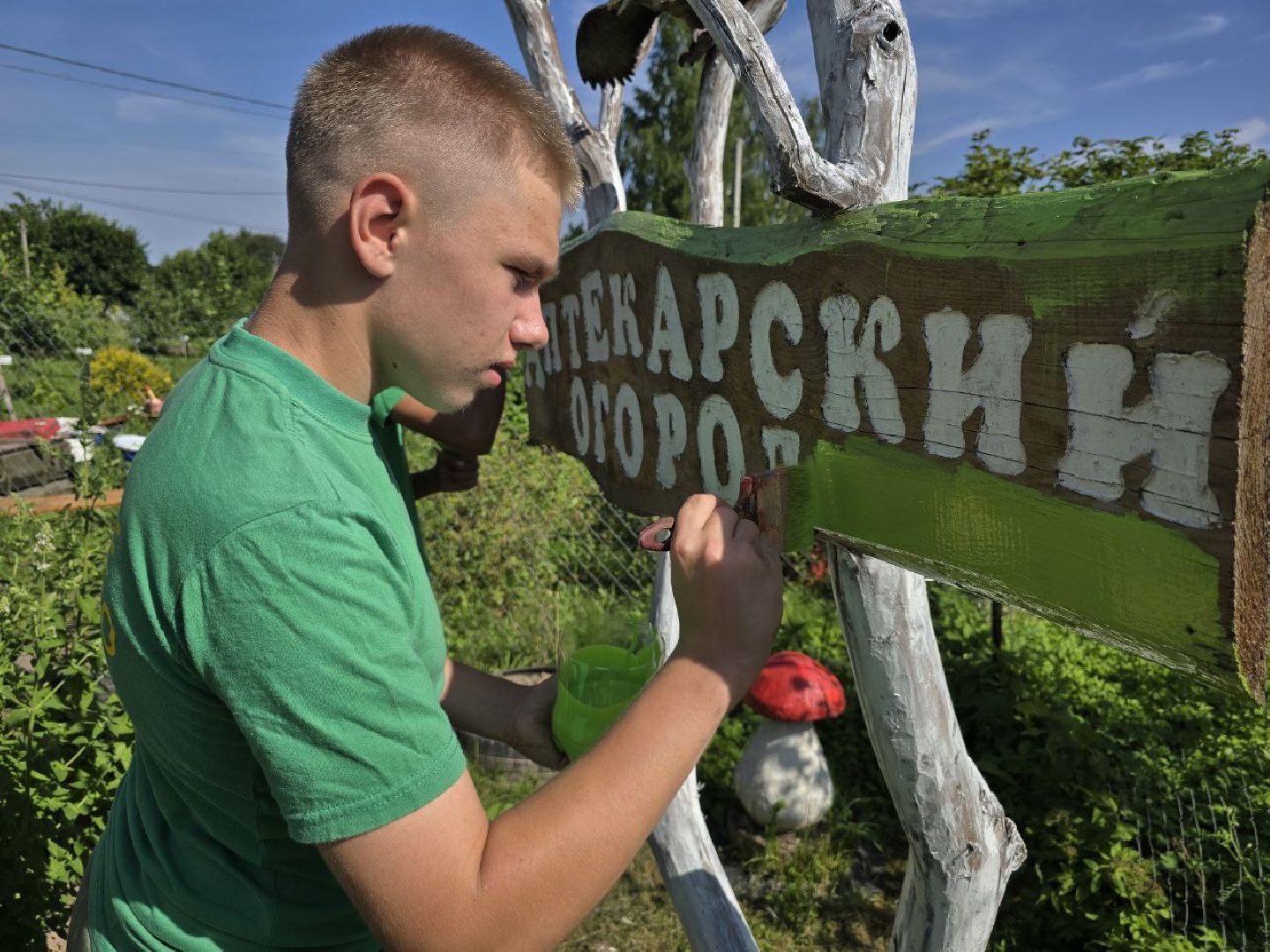 можайск, можайский муниципальный округ, подмосковье, аптекарский огород, дети, юные натуралисты, лесничие,