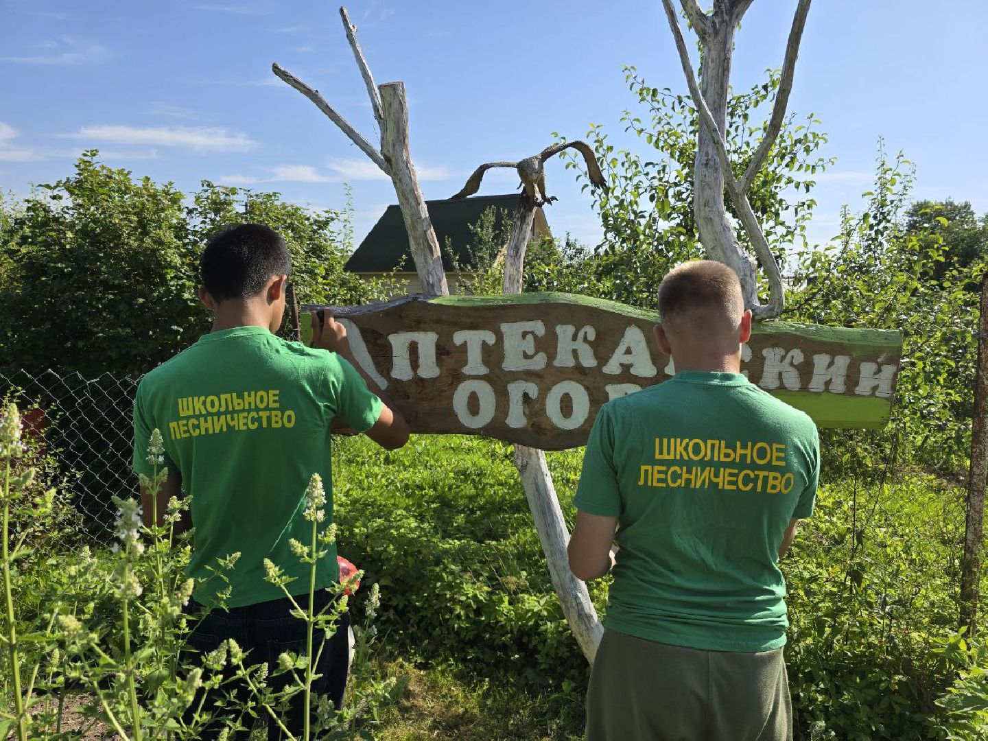 можайск, можайский муниципальный округ, подмосковье, аптекарский огород, дети, юные натуралисты, лесничие,