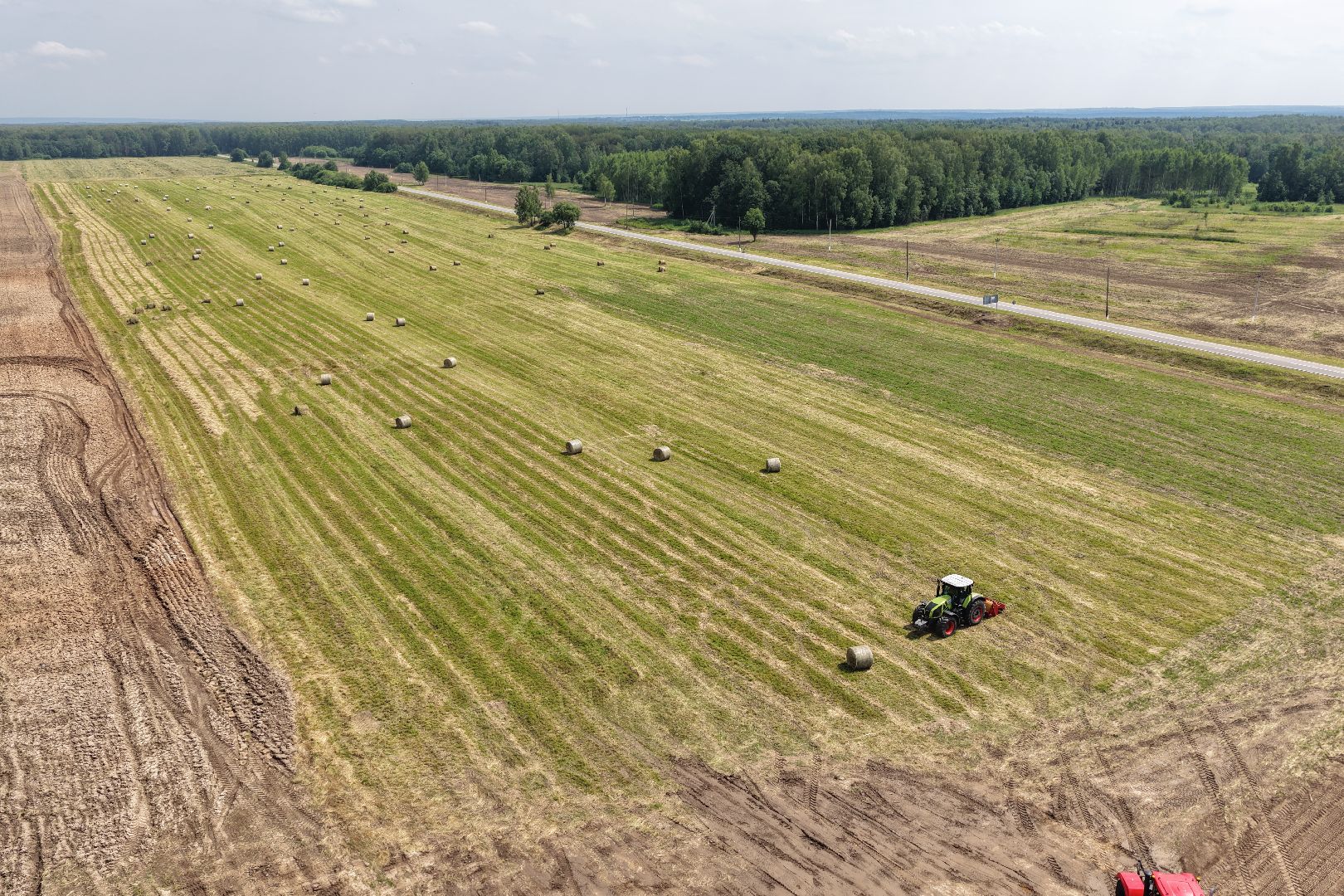 видео с коптера, животноводческое хозяйство, животноводство в подмосковье,