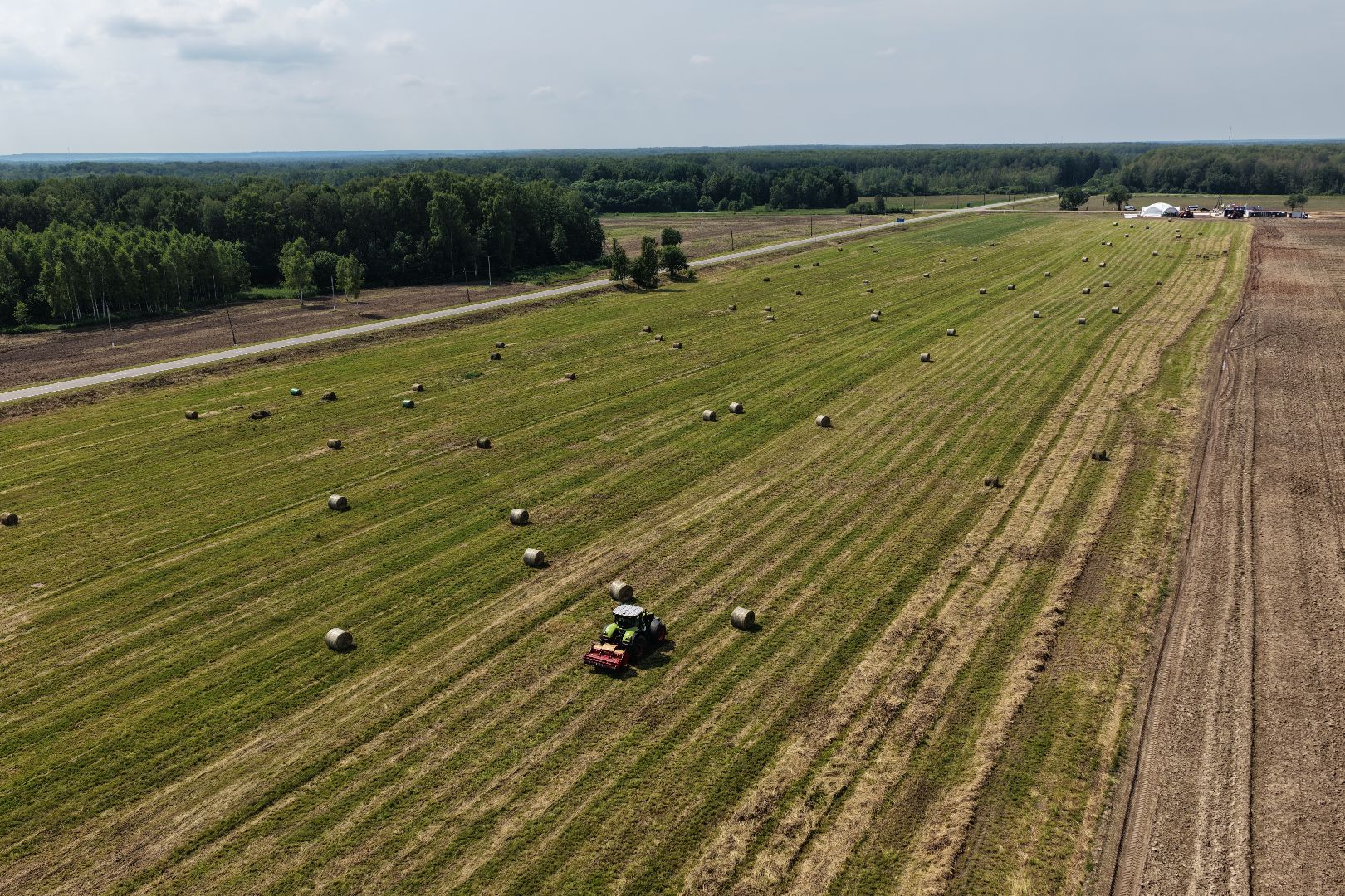 видео с коптера, животноводческое хозяйство, животноводство в подмосковье,