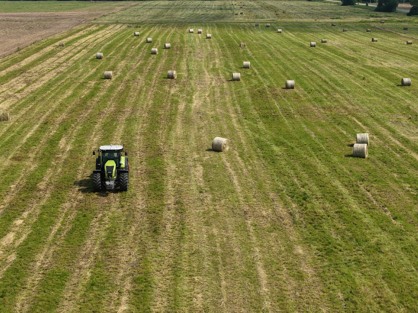 видео с коптера, животноводческое хозяйство, животноводство в подмосковье,