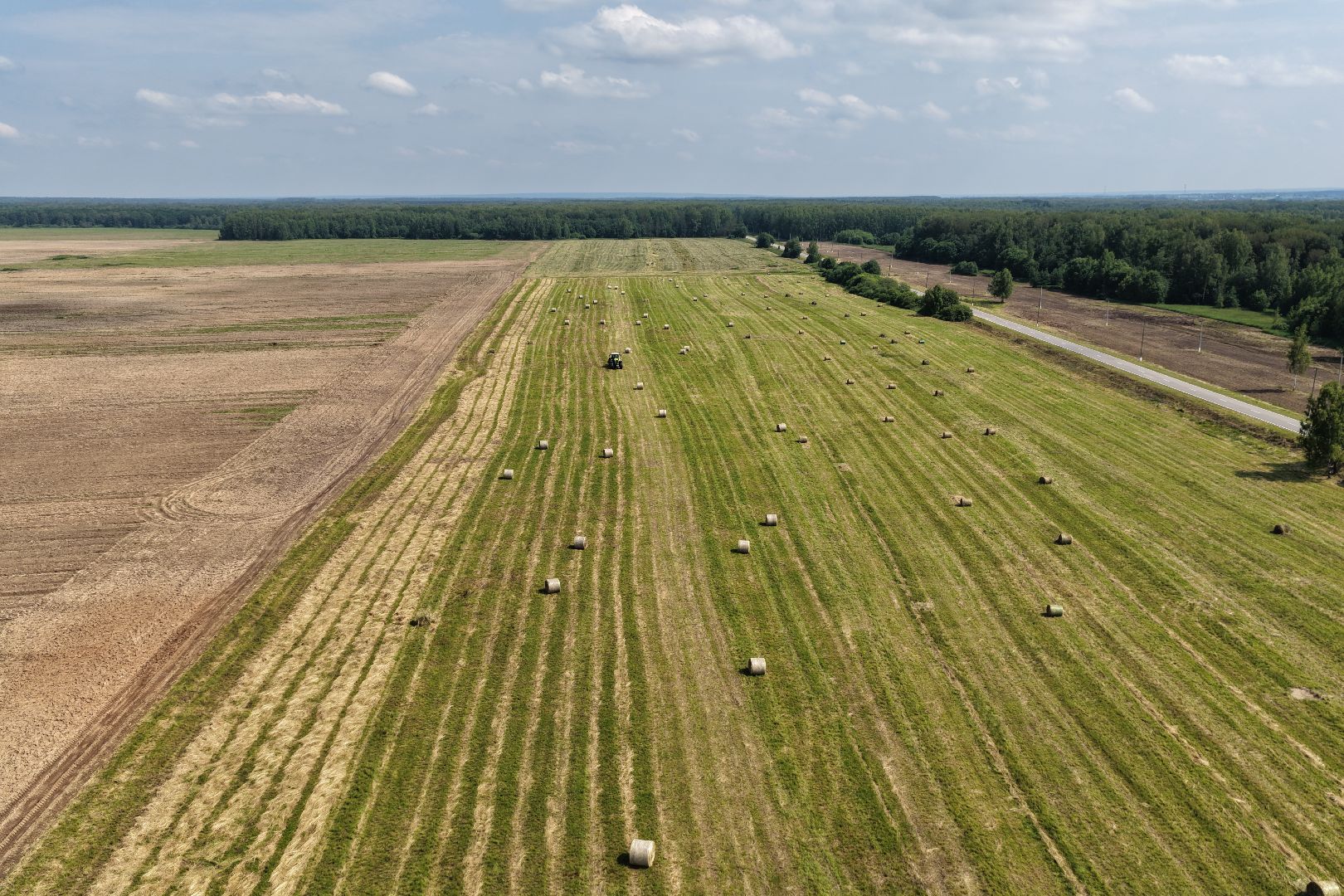 видео с коптера, животноводческое хозяйство, животноводство в подмосковье,