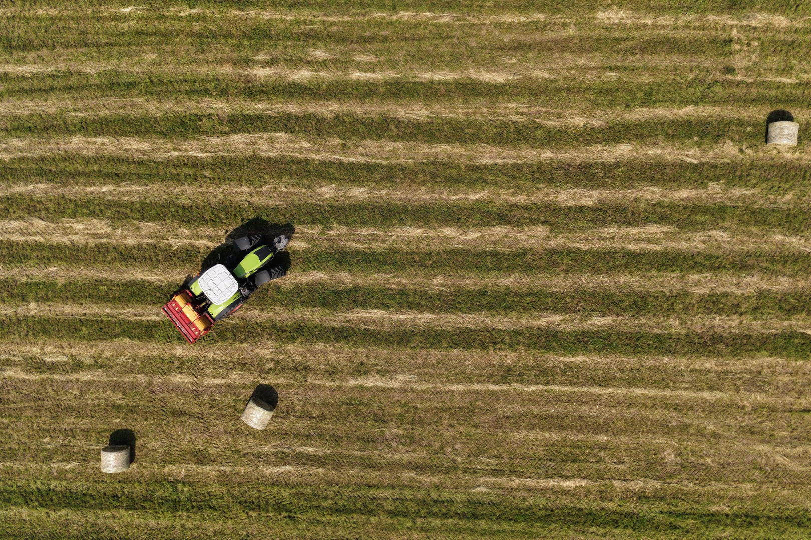 видео с коптера, животноводческое хозяйство, животноводство в подмосковье,