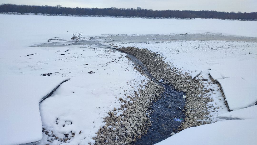 Кашира, общество