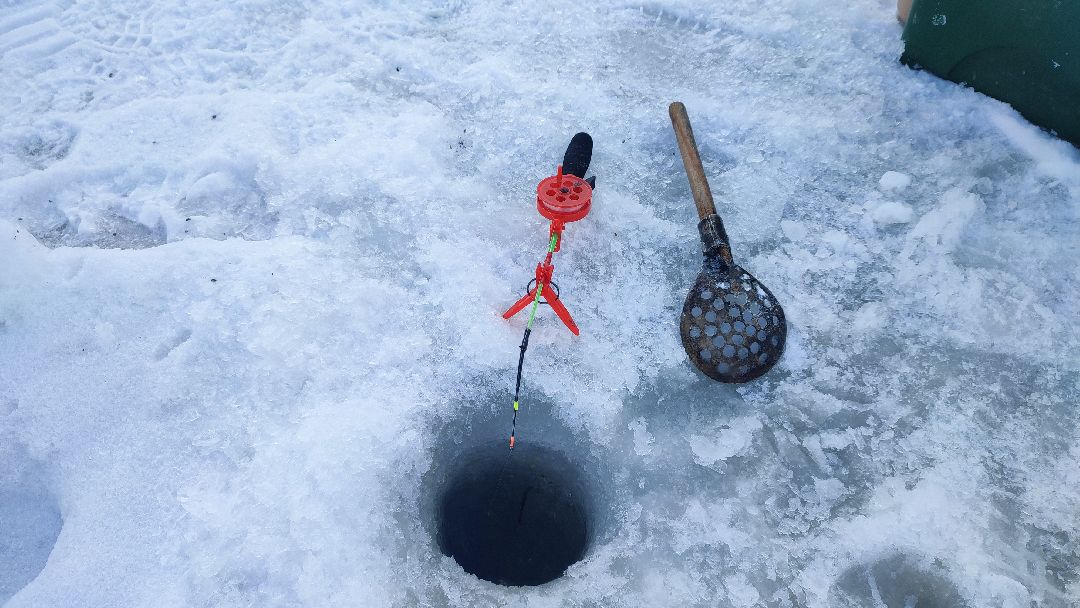 Кашира, общество