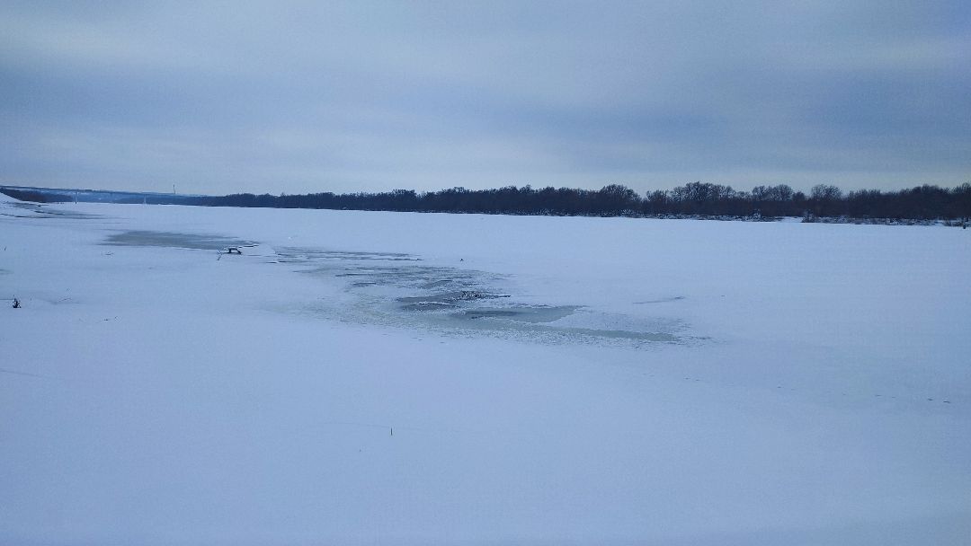 Кашира, общество