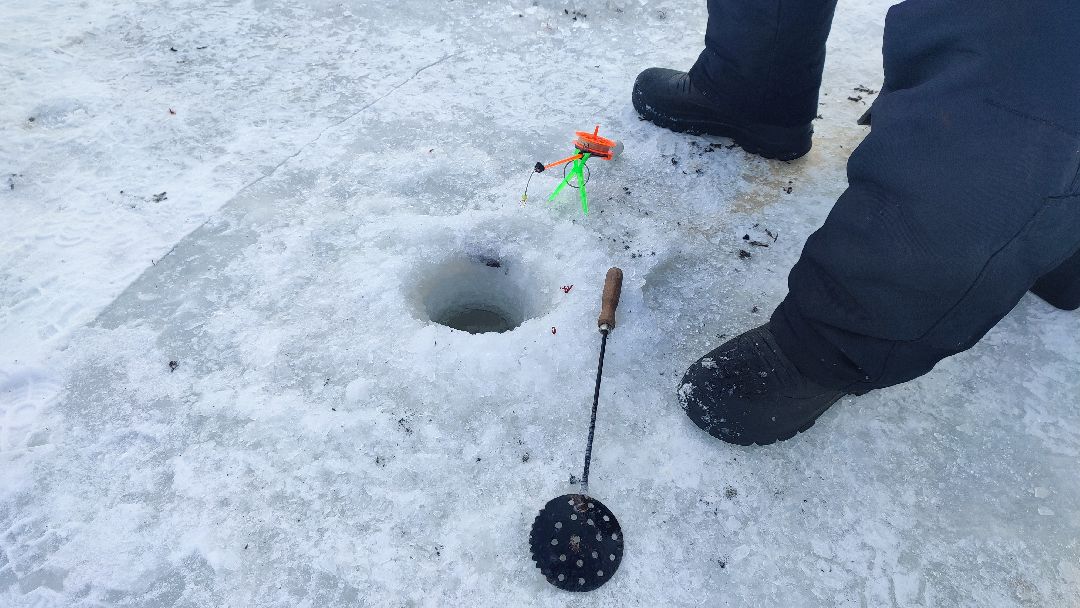 Кашира, общество