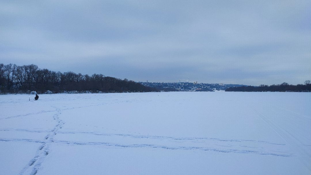 Кашира, общество