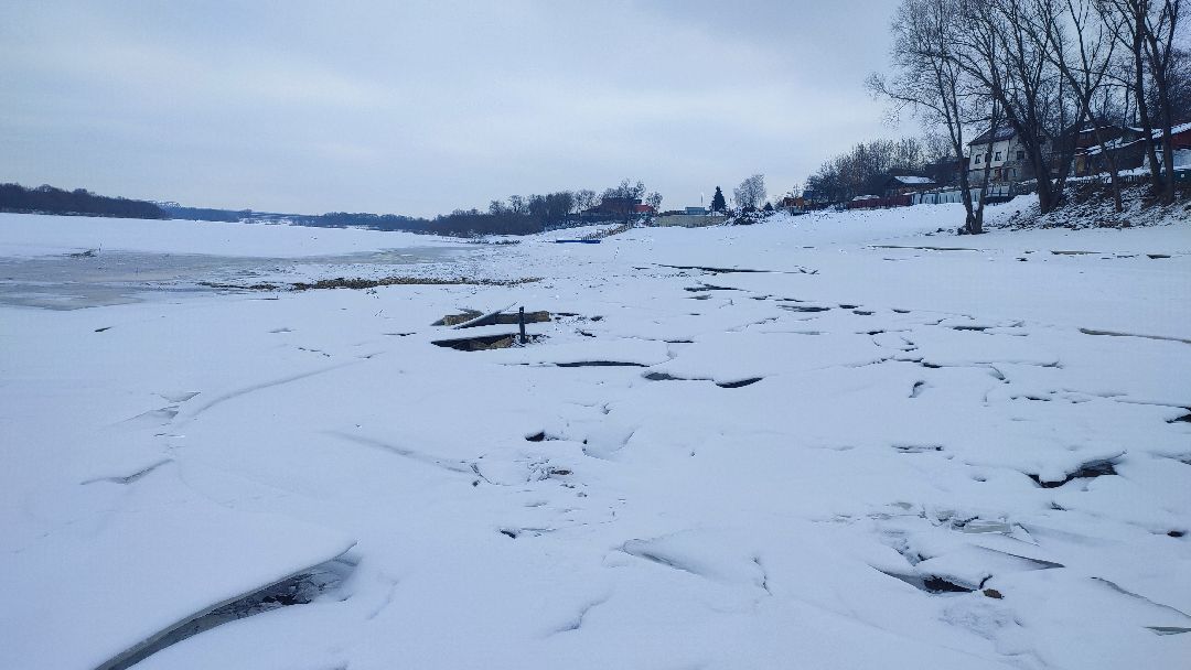 Кашира, общество