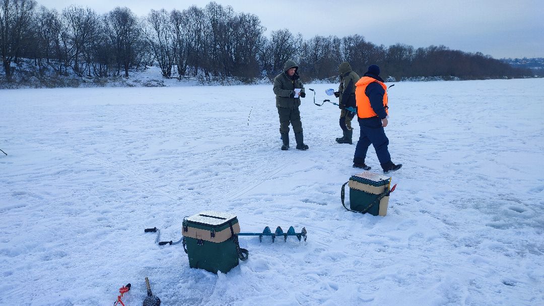 Кашира, общество