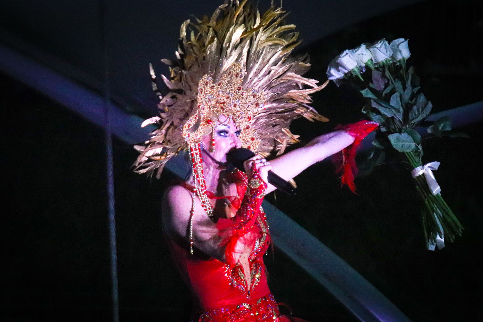 клин, общество, культура, танцы, балет, волочкова, подмосковье,