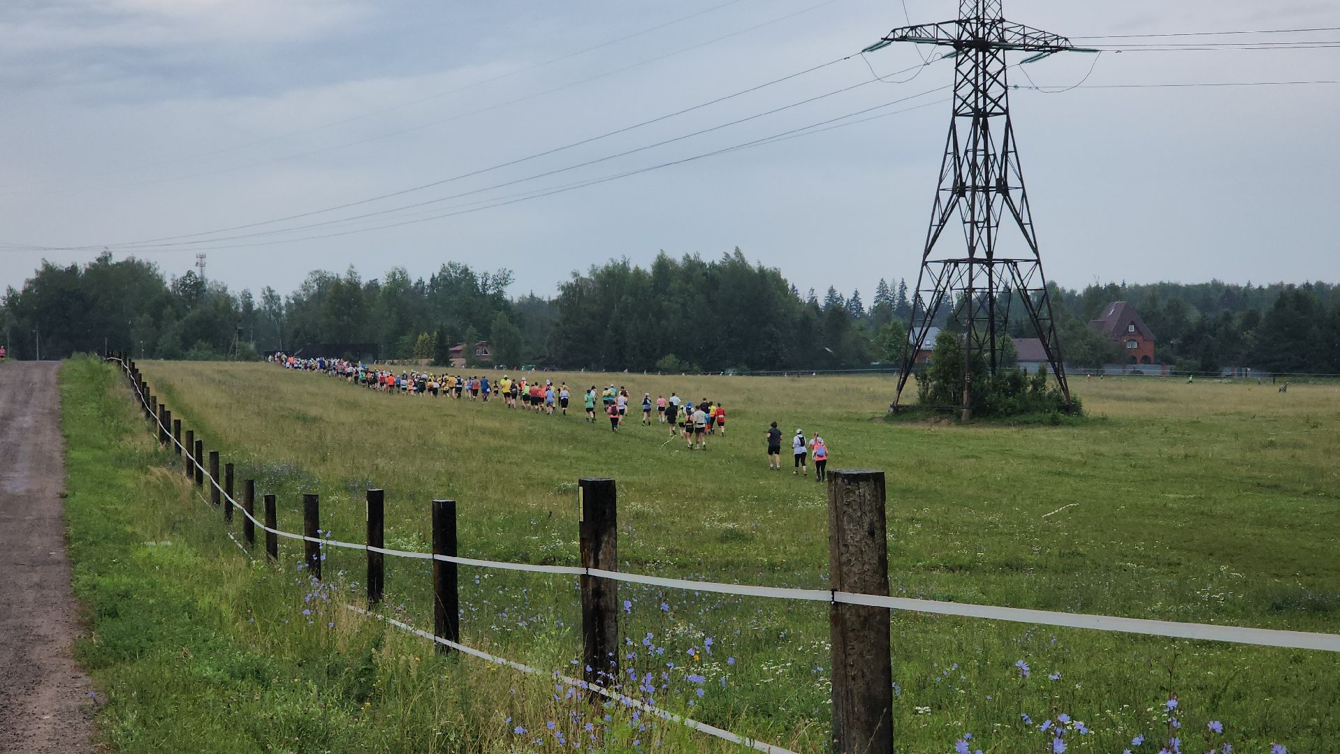 Истра, Спорт, Сырный трейл, Забег,