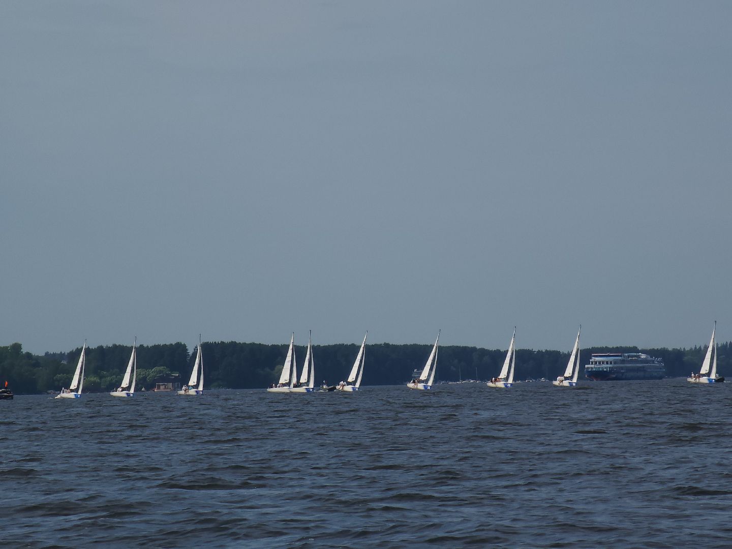 мытищи, регата, парусный спорт,